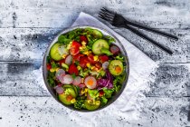 Mixed salad with red radish, cucumber, bell pepper, tomato, maize and carrot — Stock Photo