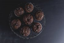 Muffins au chocolat sur support à gâteau — Photo de stock