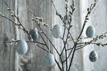 Hand-painted Easter eggs hanging from Pussy Willow twigs - foto de stock