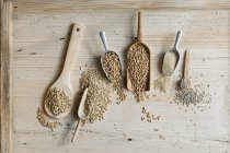 Organic wheat, rye shot, amaranth, spelt, buckwheat and oat on shovels and on wood, from above — Stock Photo