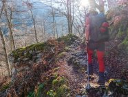 Spanien, Asturien, Kantabrisches Gebirge, älterer Herr auf Wandertour durch die Wälder — Stockfoto