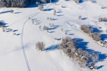 Alemania, Baviera, Wolfratshausen, loipe cerca del campo de golf en invierno, vista aérea - foto de stock