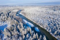 Alemania, Baviera, vista aérea sobre el río Isar y las llanuras de inundación de Isar entre Geretsried y Wolfratshausen en invierno - foto de stock