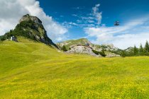 Austria, Tyrol, Maurach, Rofan Mountains, cable car, Airrofan Skyglider over flower meadow — Stock Photo