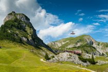 Austria, Tyrol, Maurach, Rofan Mountains, cable car, Airrofan Skyglider over flower meadow — Stock Photo