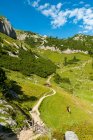Austria, Tyrol, Maurach, Rofan Mountains, grazing horses — Stock Photo