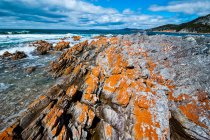 Rocky Cape National Park, Tasmânia, Austrália — Fotografia de Stock