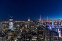 Skyline all'ora blu, Manhattan, New York, Stati Uniti d'America — Foto stock