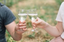 Young couple toasting with Prosecco in the vineyards, close-up — Stock Photo