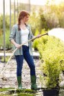 Giovane donna che innaffia le piante nella serra — Foto stock