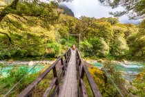 Randonneuse marchant à travers le pont tournant au-dessus de la rivière, parc national de Fiordland, île du Sud, Nouvelle-Zélande — Photo de stock