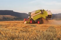 Agricultura biológica, campo de trigo, colheita, colheitadeira à noite — Fotografia de Stock