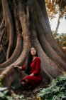 Beautiful young woman wearing a red dress crouching at a tree with large roots - foto de stock