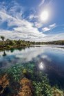 New Zealand, Tasman Region, Takaka, Sun shining over Te Waikoropupu Springs — Stock Photo