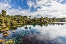 New Zealand, Tasman Region, Takaka, Scenic view of Te Waikoropupu Springs — Stock Photo