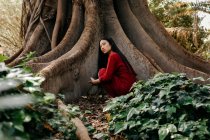 Beautiful young woman wearing a red dress crouching at a tree with large roots - foto de stock