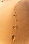 Footprints in sand dunes in Sahara Desert, Merzouga, Morocco — Stock Photo