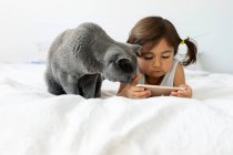 Portrait of little girl lying on bed with grey British shorthair looking at smartphone — Stock Photo