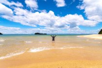 Visão traseira do homem maduro de pé com os braços levantados no mar contra o céu nublado em Abel Tasman Coastal Track, South Island, Nova Zelândia — Fotografia de Stock