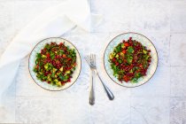 Две тарелки веганского салата с чечевицей, огурцом, перцем, петрушкой и семенами граната — стоковое фото