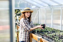 Portrait of confident mature woman holding plant at greenhouse — Stock Photo