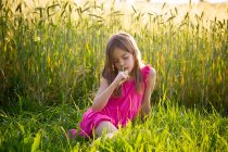 Ritratto di giovane ragazza vestita di rosa vivace seduta davanti al campo di segale in estate — Foto stock