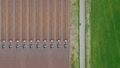 Rusia, Vista aérea de la fila de tractores arando campo marrón - foto de stock