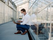 Businessman wearing mask using laptop while crouching on floor in greenhouse — Stock Photo