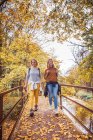 Les femmes souriant en marchant sur le pont dans la forêt — Photo de stock