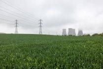 Royaume-Uni, Angleterre, Rugeley, Champ avec pylônes électriques et tours de refroidissement en arrière-plan — Photo de stock