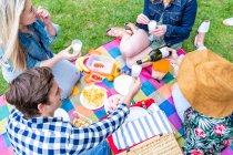 Amici maschi e femmine che mangiano e bevono durante il picnic al parco — Foto stock