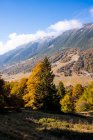Vale do outono na gama Monte Baldo — Fotografia de Stock