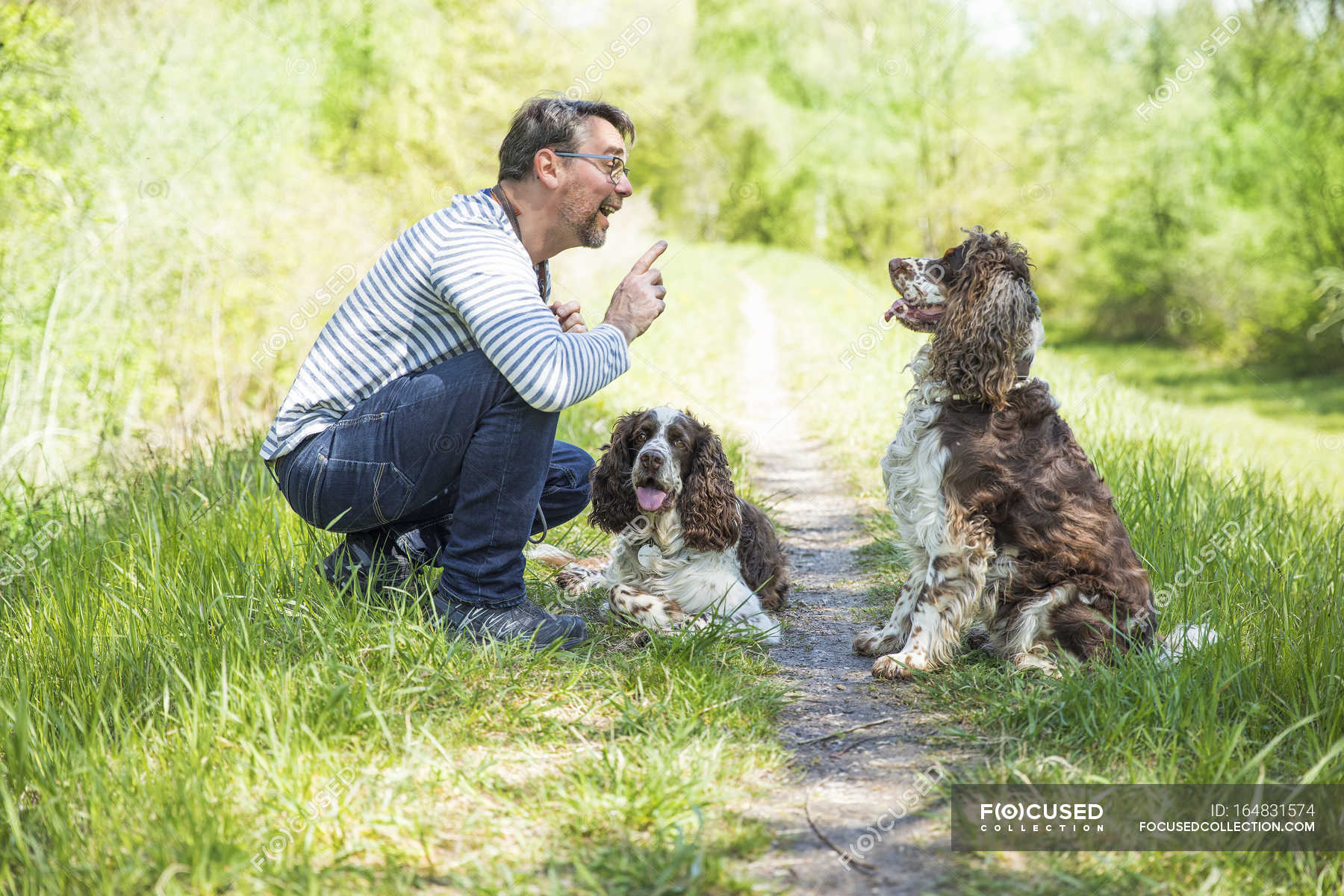 how to train two dogs