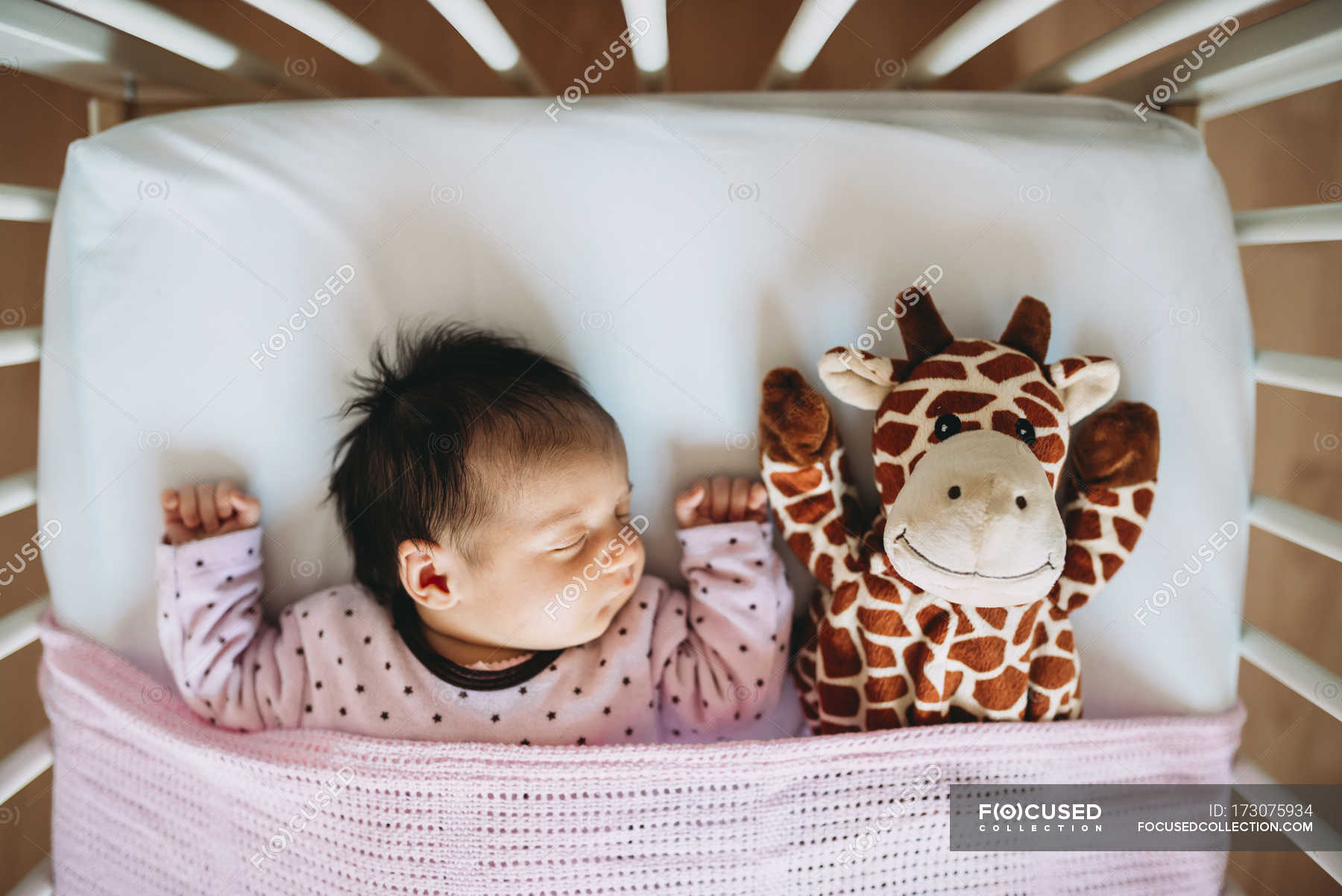 Newborn Baby Girl Sleeping In Crib With A Plush Giraffe Peace