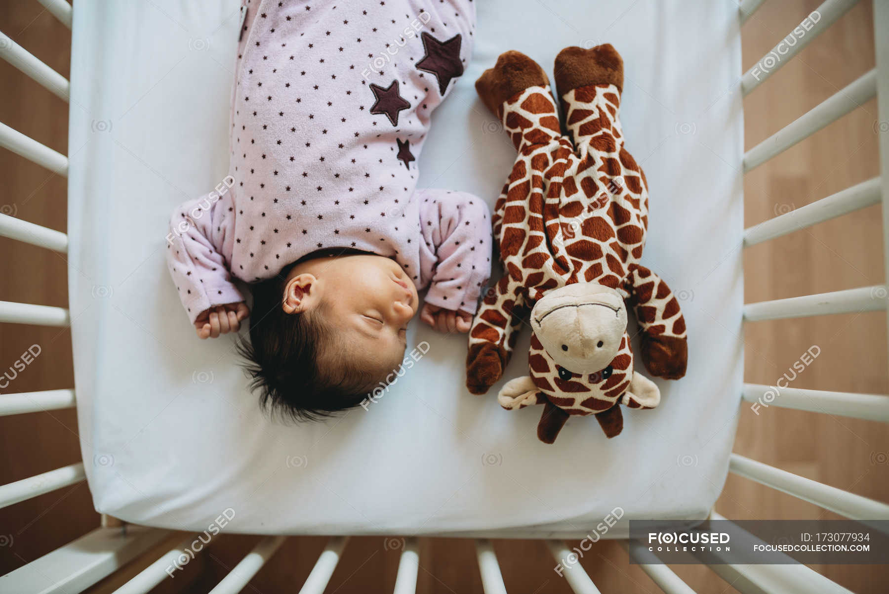 Newborn Baby Girl Sleeping In Crib With A Plush Giraffe Indoor