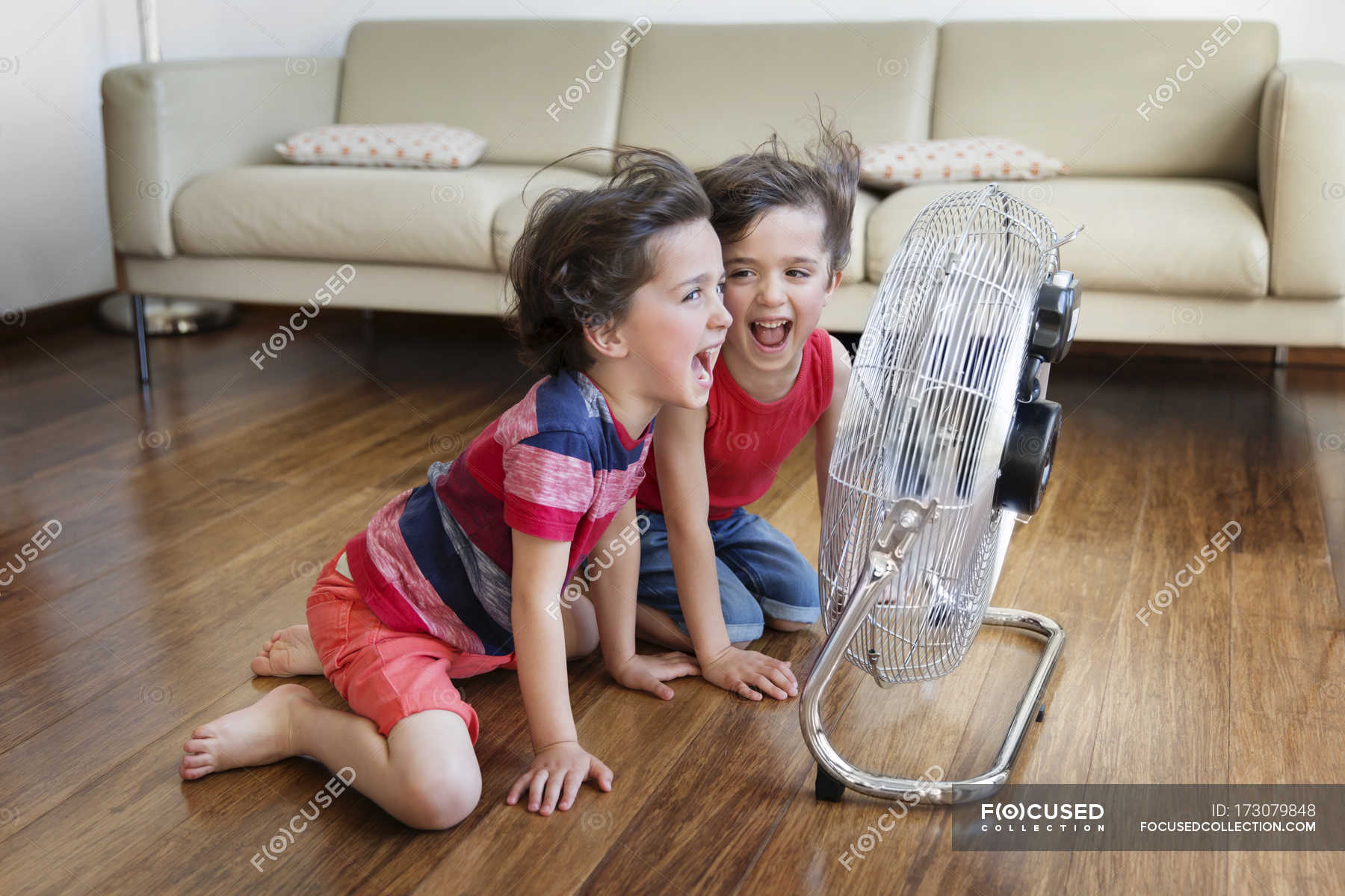 Twin Brothers Having Fun In Front Of Fan Brown Hair Living Room
