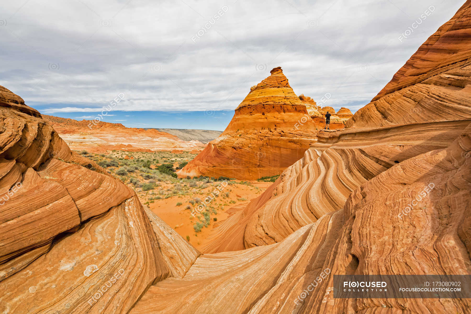 Arizona, Paria Canyon-Vermilion Cliffs Wilderness Picturesque Spurs Of Red  Sandstone The Concept Of Active, Extreme And Photo Tourism Stock Photo,  Picture And Royalty Free Image, Paria Canyon Vermilion Cliffs Wilderness  Area