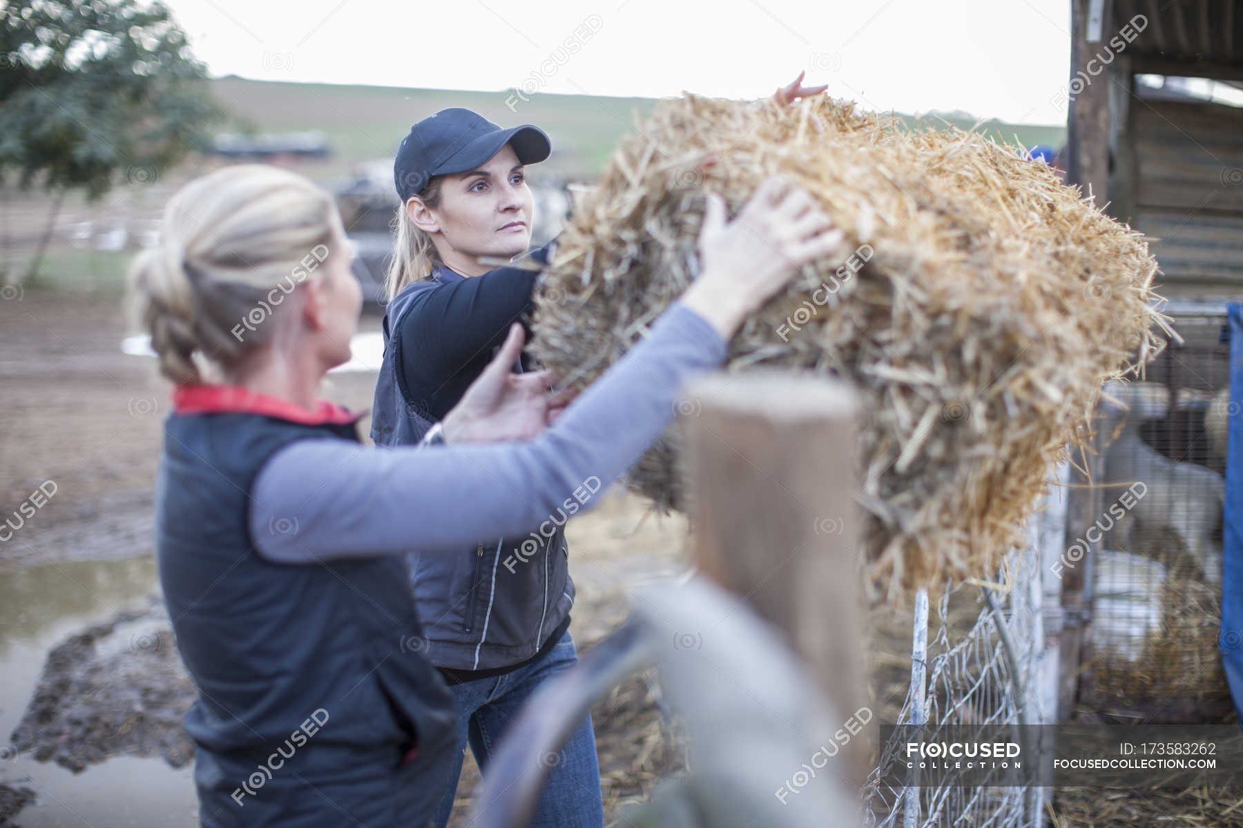 Youtube Farmgirl