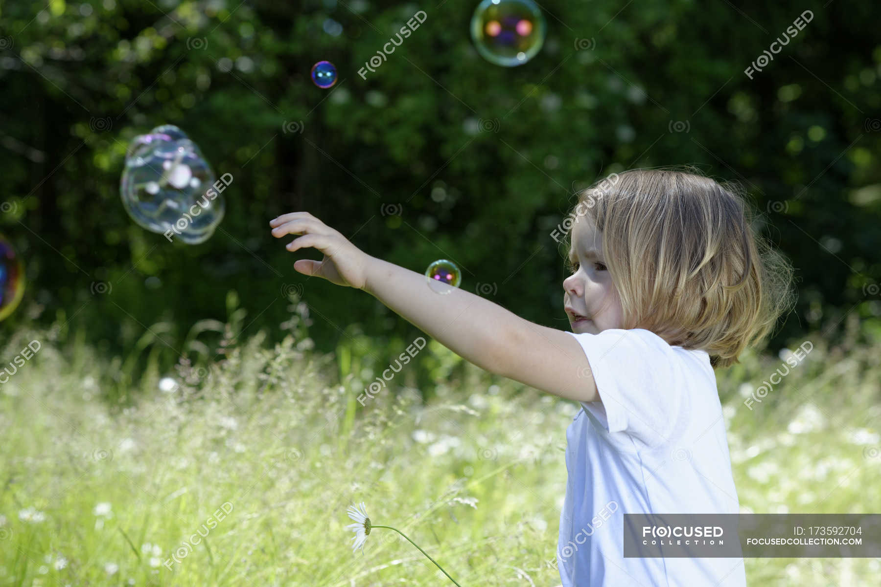 Little girl trying to catch soap bubbles on a meadow — lightness, Focus ...