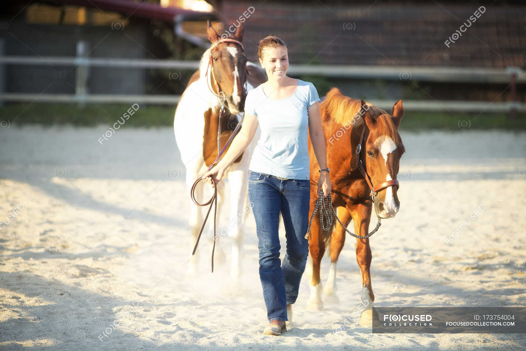 Лошадь с 2 девушками. Длинная лошадь для двоих человек. Фото с двумя лошадьми и человеком. Дама ведущая коней под уздцы. Вести под уздцы.