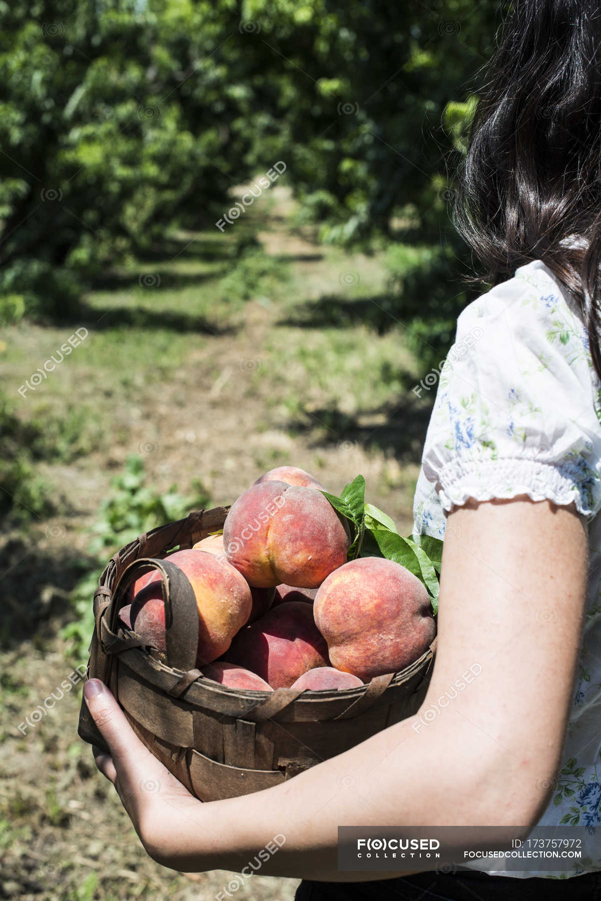 Девушка продавала персики. Персик в руке. Фотосессия с персиками. Девичьи персики. Женщина с персиками.