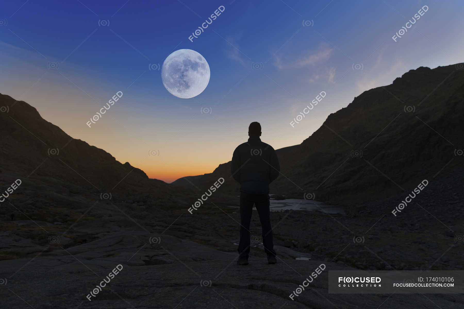 Looking at the moon. Дорога на луну плюс. Проект неба для одинокого человека. A man looking at the Moon.