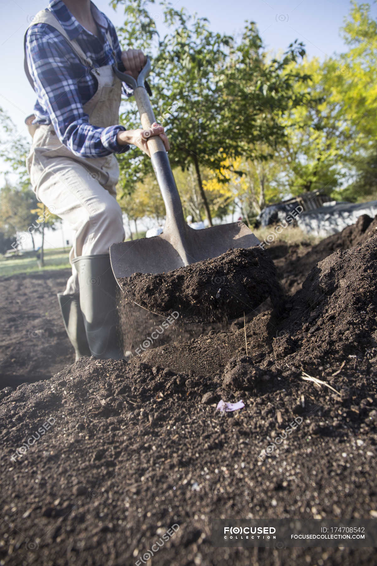 Woman Working On Farm Preparing Vegetable Patch With Shovel