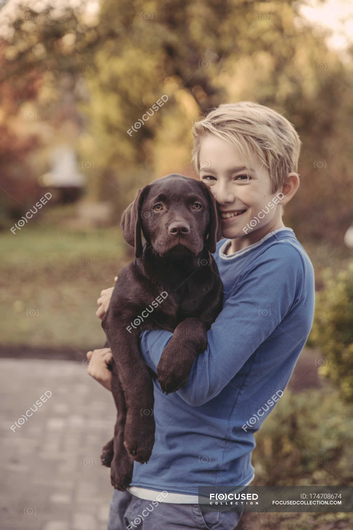 How To Hold A Labrador Puppy