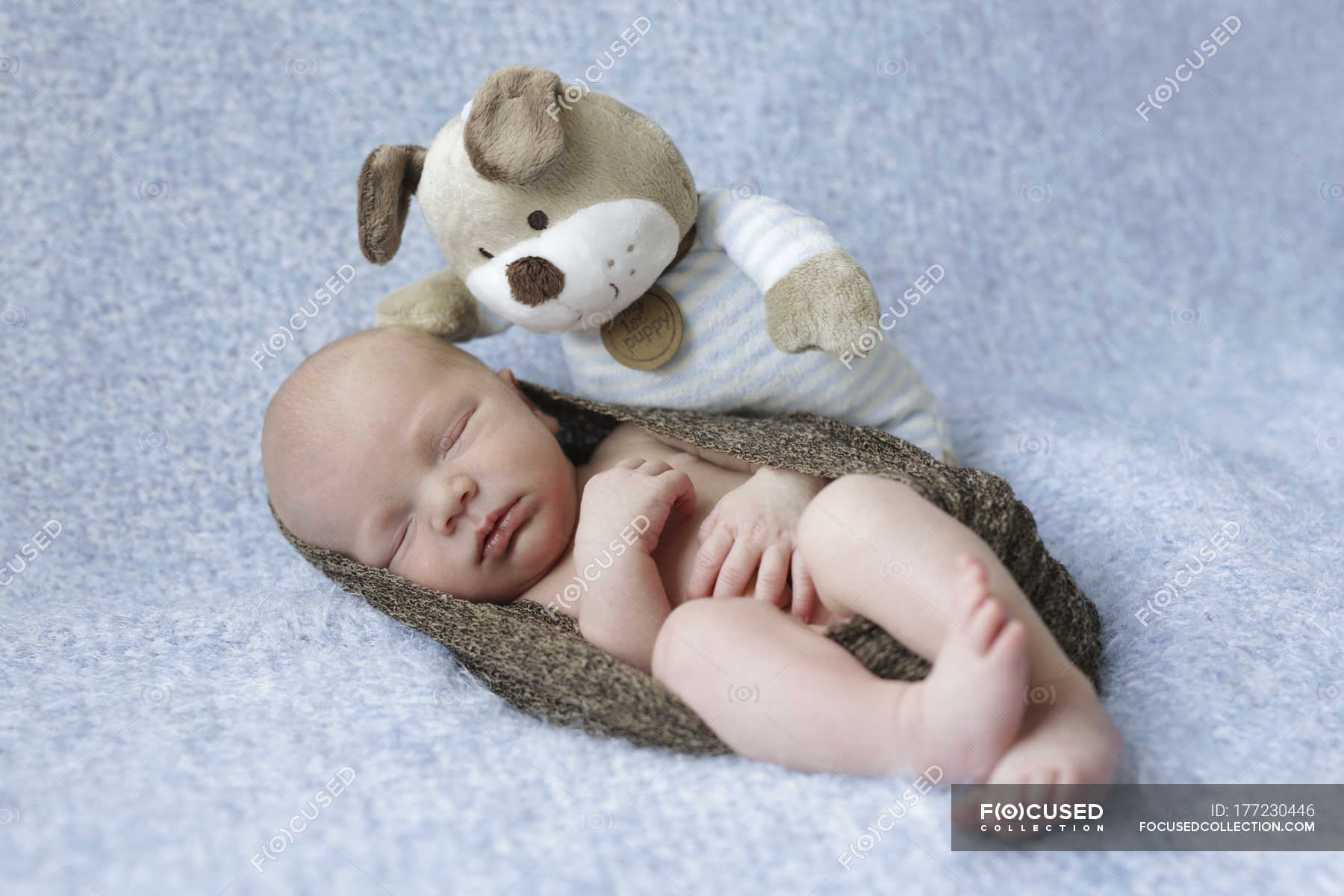 newborn cuddly toy