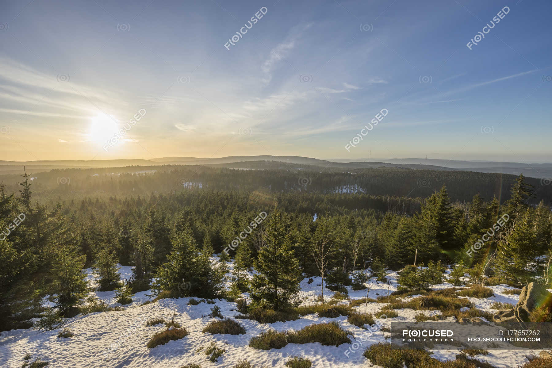 Snow-Covered Trees, Hochharz National Park, Saxony-Anhalt, Germany без смс