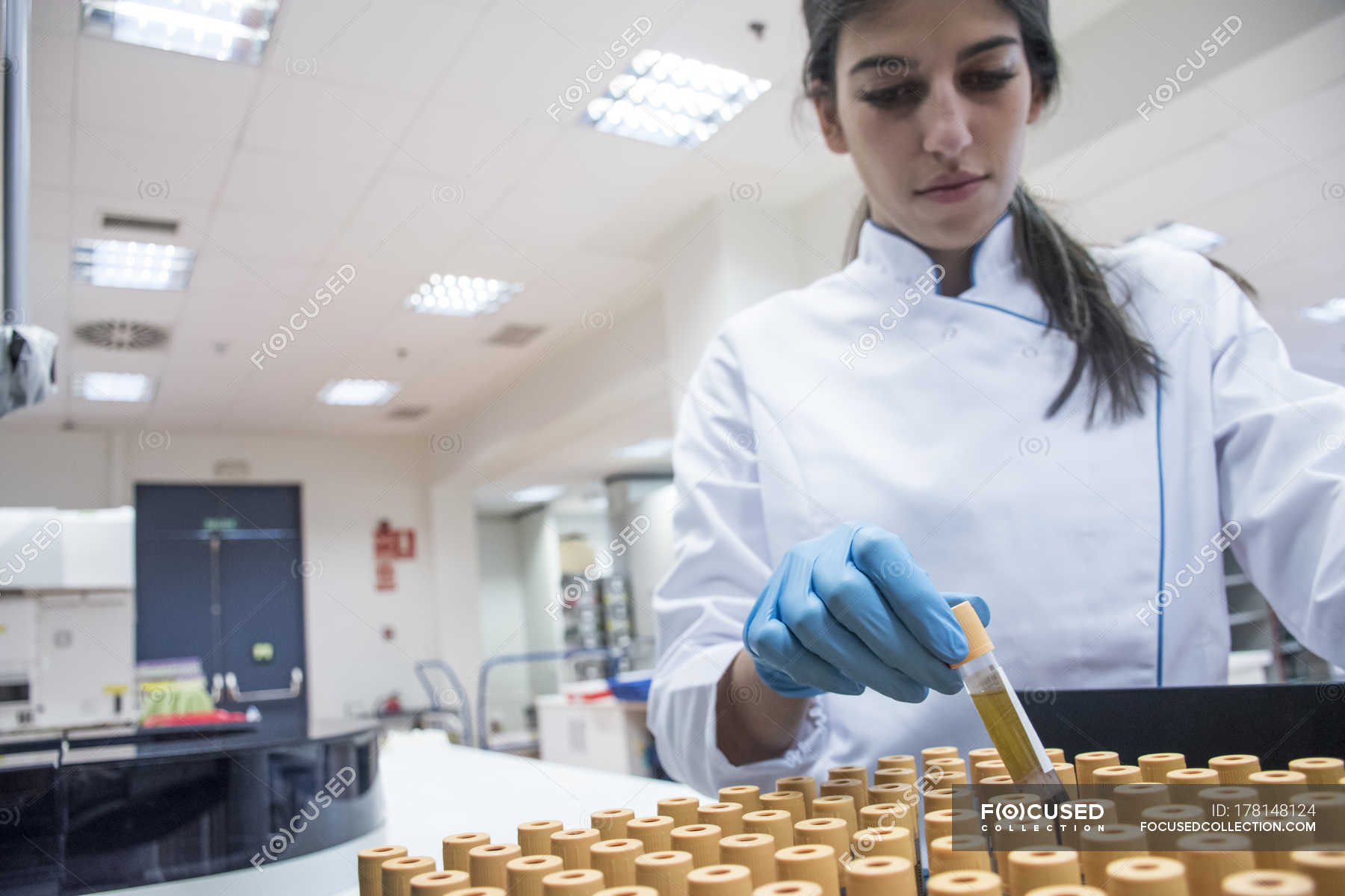 Laboratory technician in analytical laboratory with test tube tray