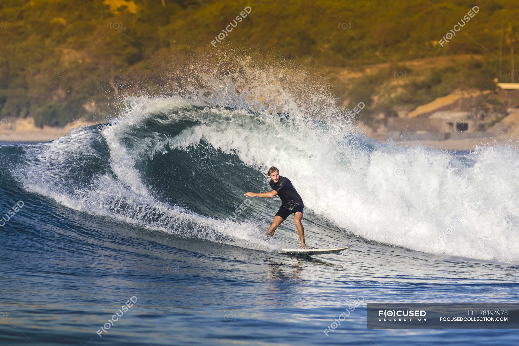 Indonesia Lombok Surfing Man In The Ocean Young Man Standing Stock Photo 178194978