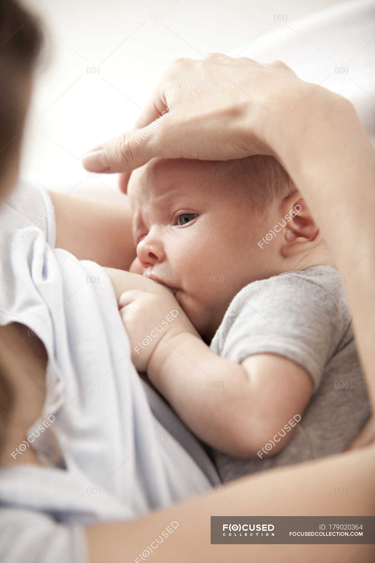 The woman feeding a baby stock image. Image of breast - 5858683