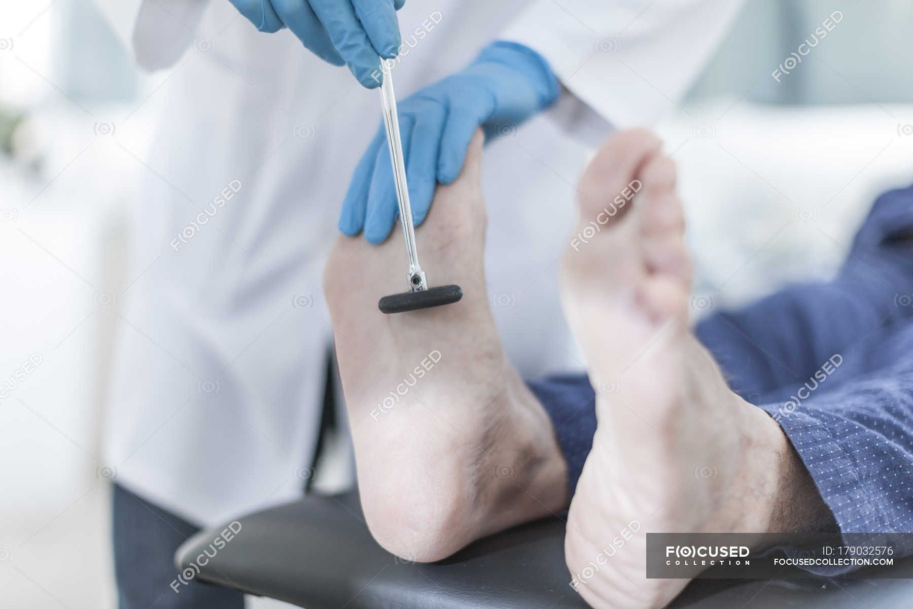 предоставляет ли